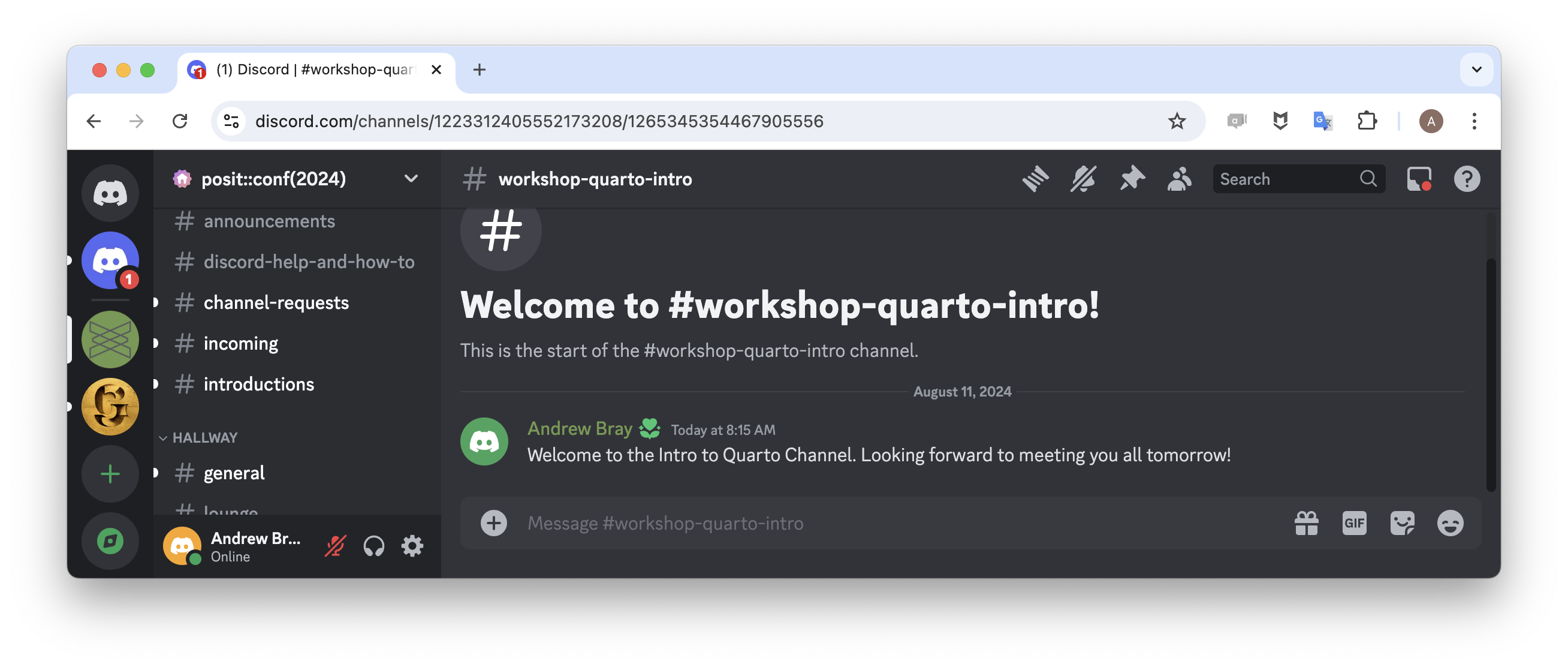 Screenshot of the discord server app that serves as the forum for the workshop.